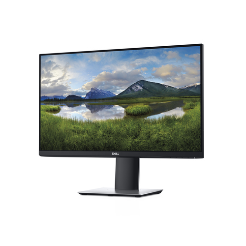 Dell P2419H