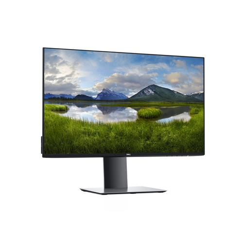 Dell P2419H