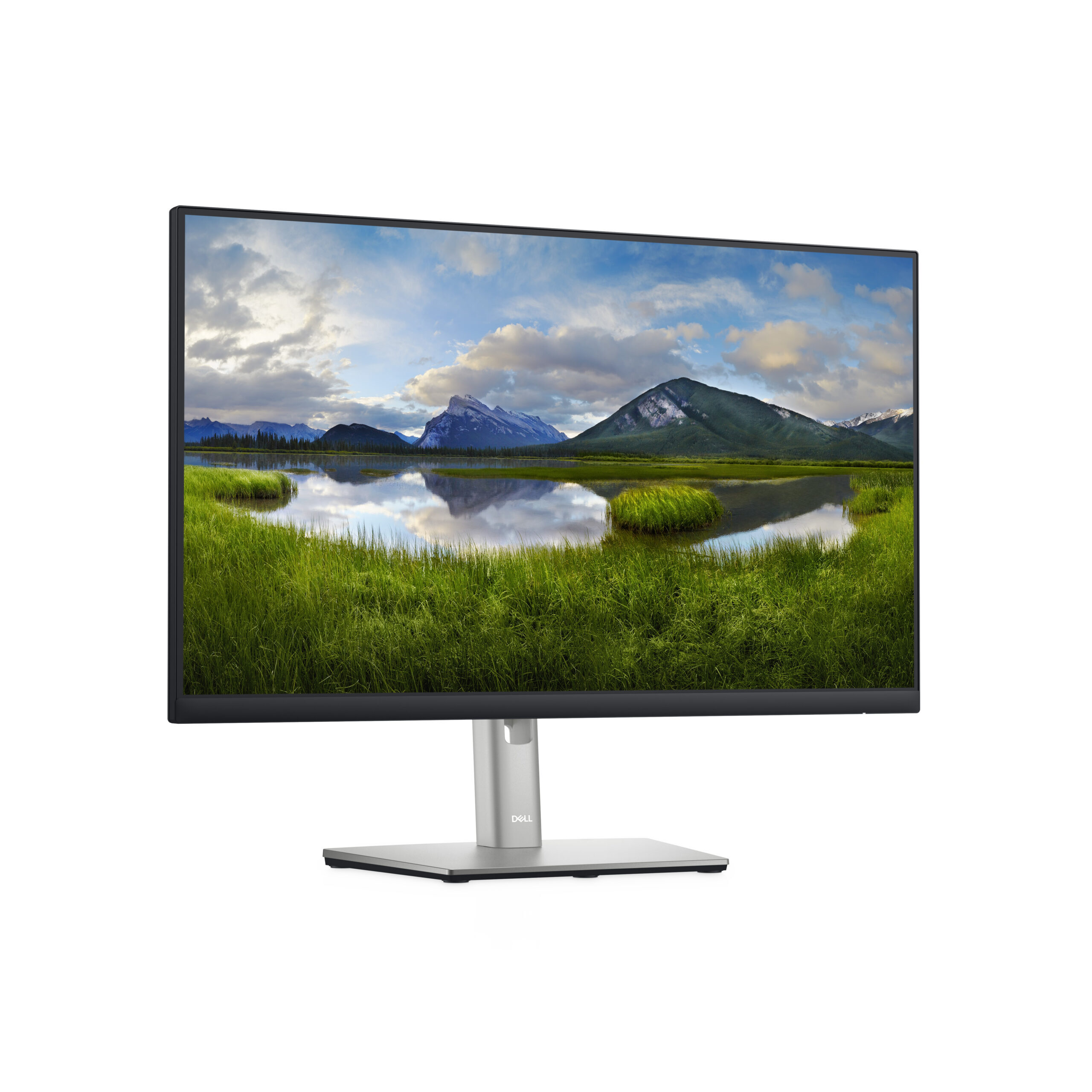 Dell UltraSharp P2422H