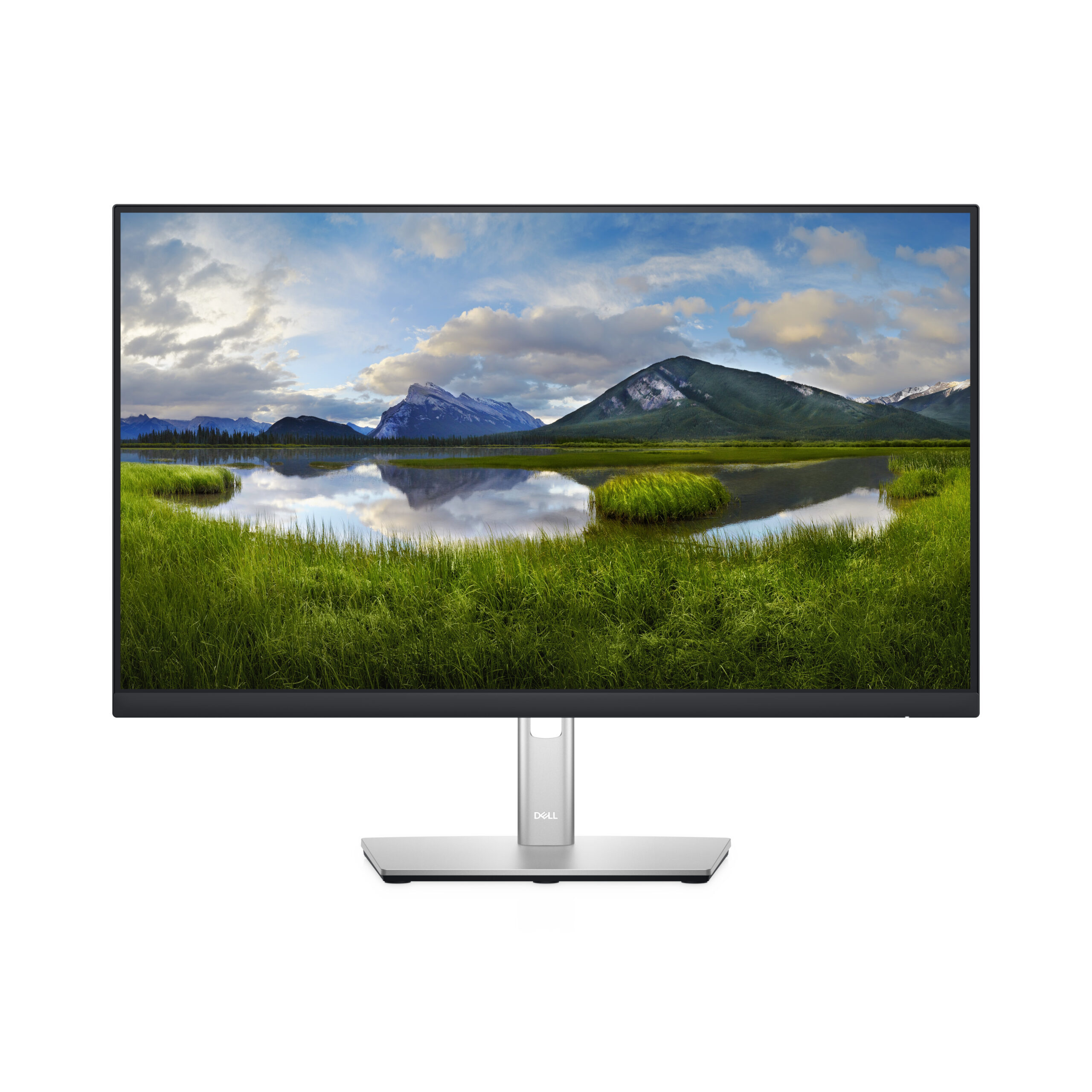 Dell UltraSharp P2422H